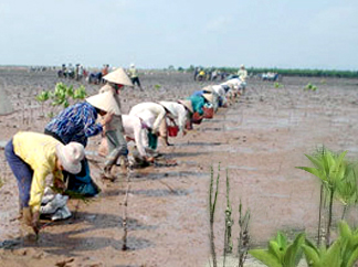 Nghệ An xả mặn cống Nghi Quang để giảm thiệt hại cho nông dân